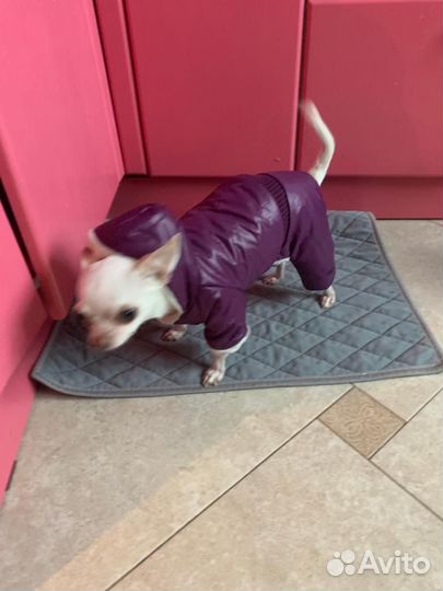 Пуховик для собак