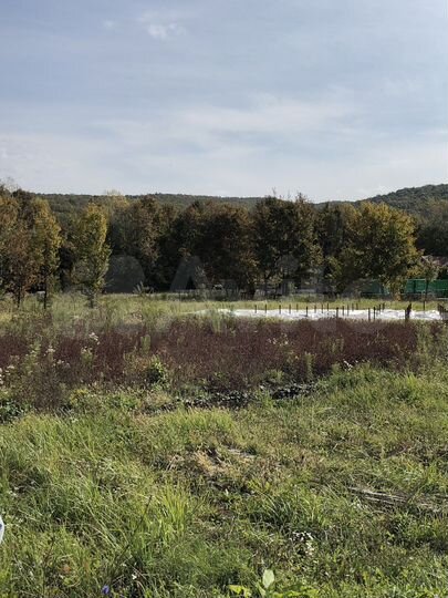 Участок 22,5 сот. (СНТ, ДНП)