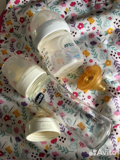 Бутылочки для кормления avent chicco