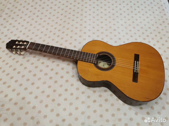 Классическая гитара массив кедра Alhambra