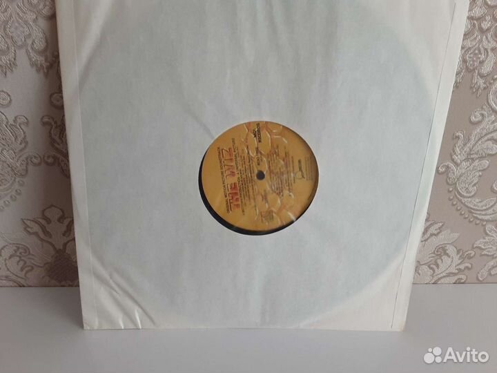Виниловая пластинка