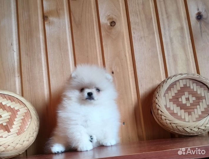 Кукляшные Мини Мальчики и Девочки