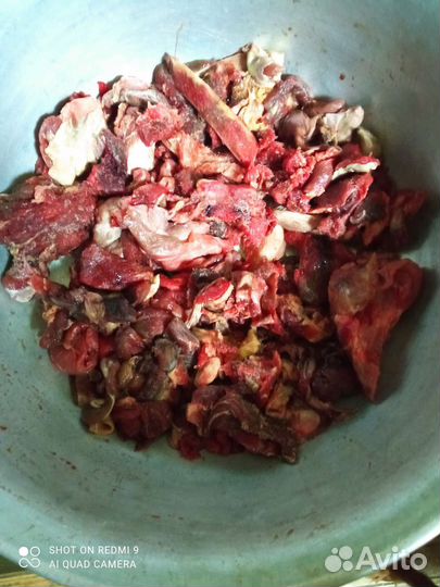 Мясо говядина обрезь для собак