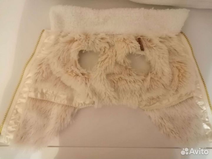 Одежда для собак мелких пород s