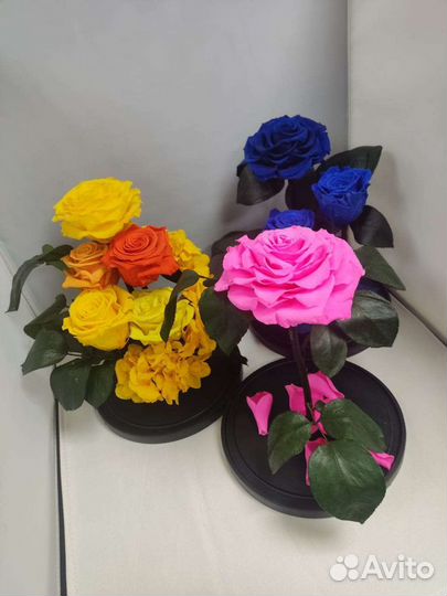 Роза в колбе оптом и в розницу