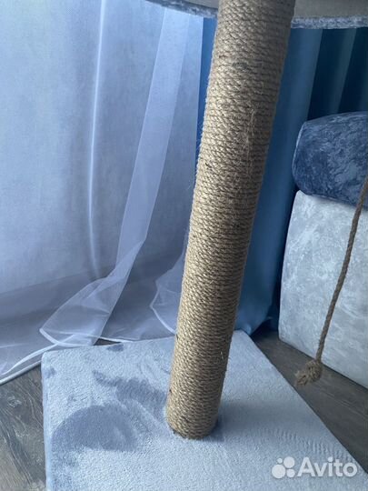 Когтеточка