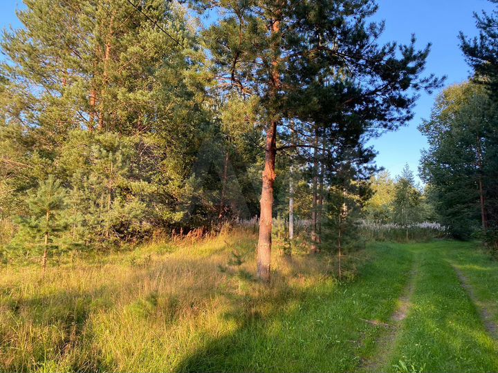 Участок 10 сот. (ИЖС)