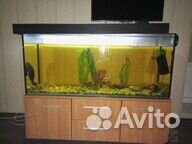 Аквариум с тумбой 500 литров