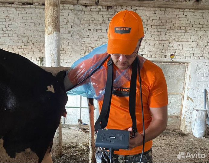 Узи коров, телок, овец в кфх и лпх