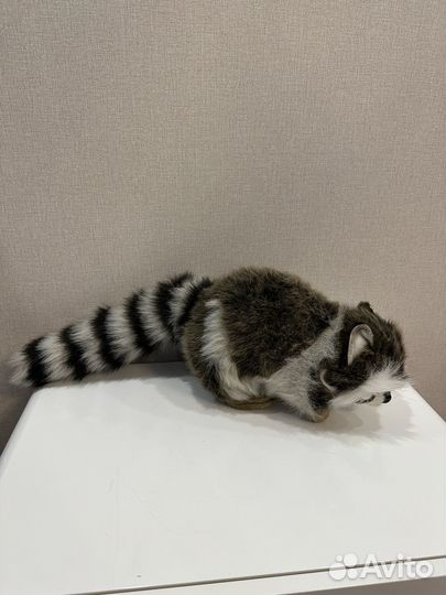 Енот мягкая игрушка