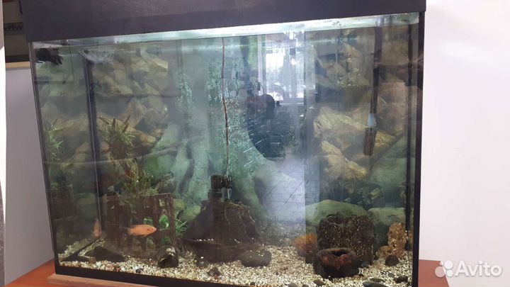 Аквариум