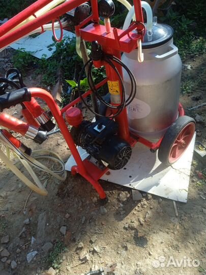 Доильный Оппарат