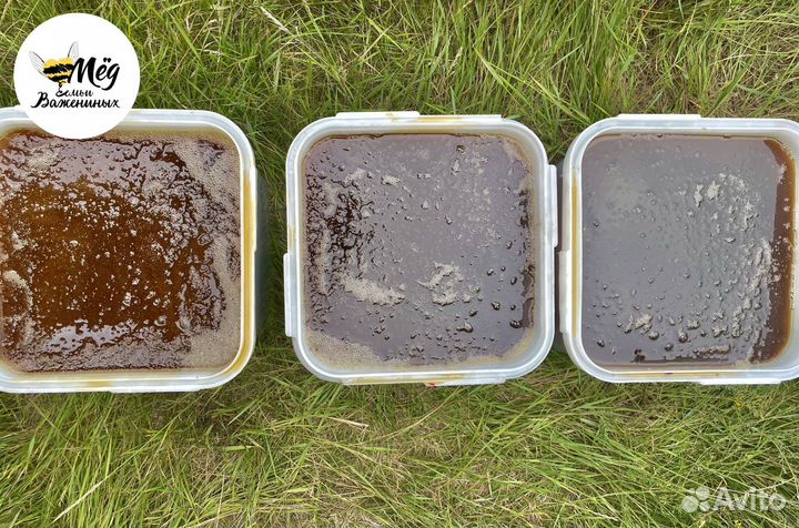 Мед свежий 2023. Гречишный, липовый, акациевый