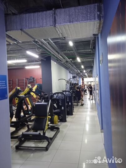 Абонемент в фитнес клуб Alex gim на пр.Кирова