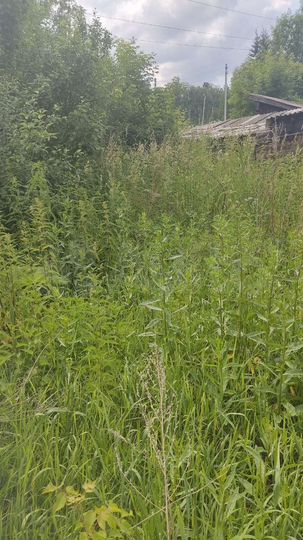 Участок 7,04 га (ИЖС)