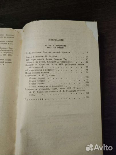 Н.Г. Чернышевский. Литературная критика