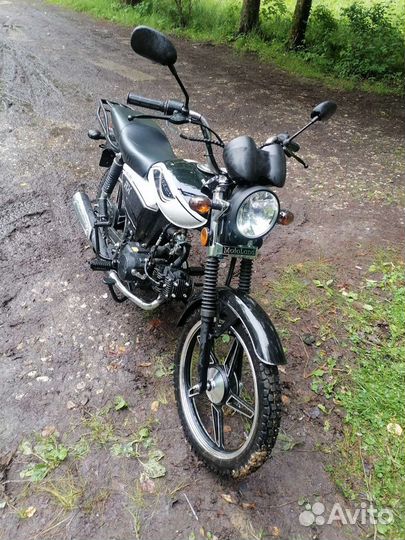 Мопед альфа рх 110сс