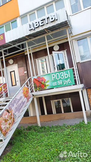 Розы