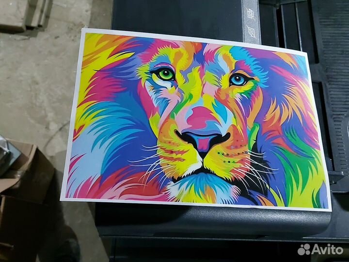 Мфу лазерный цветной Konica Minolta bizhub C300i