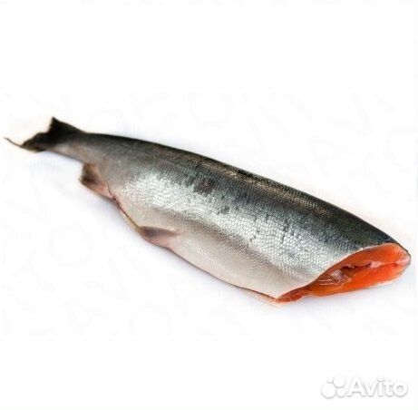 Нерка свежемороженая пбг