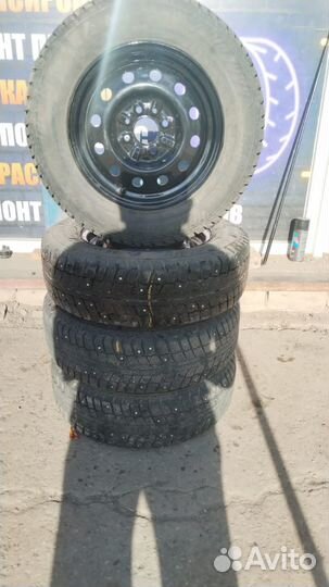 Matador MP 50 Sibir Ice 175/70 R13