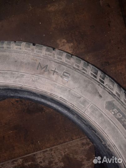 Diplomat MS 205/55 R16