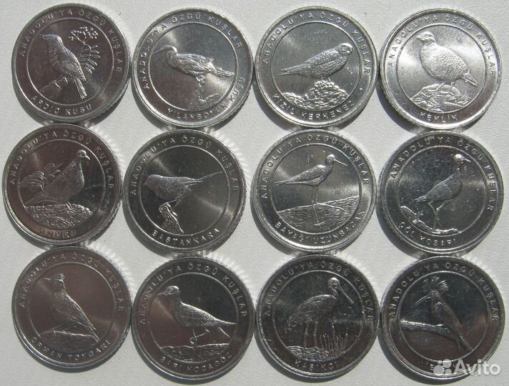 Турция наборы Птицы Анатолии 1 куруш 2020 и 2021