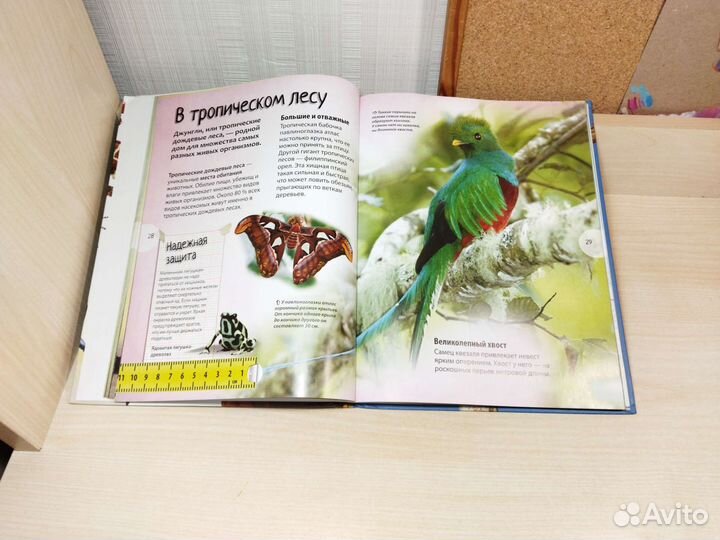 Энциклопедия про животных