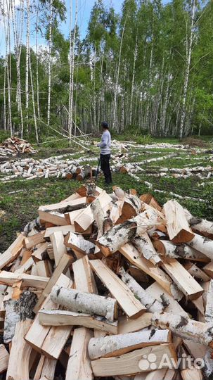 Берёза Колотая с Доставкой