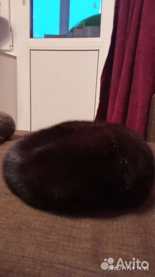 Берет норковый