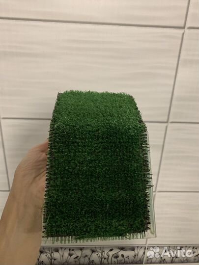 Мостик для черепахи