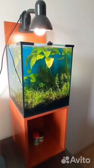 Аквариум акваэль 30л