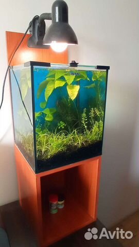 Аквариум акваэль 30л