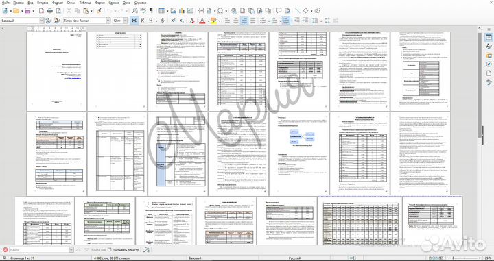 Бизнес план для соцконтракта