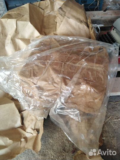 Машинка счетная монет мс 10