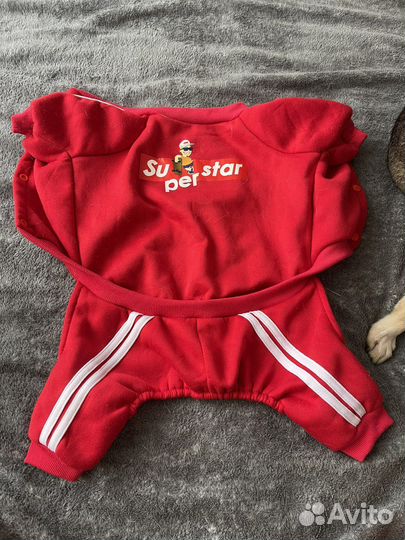 Спортивный костюм