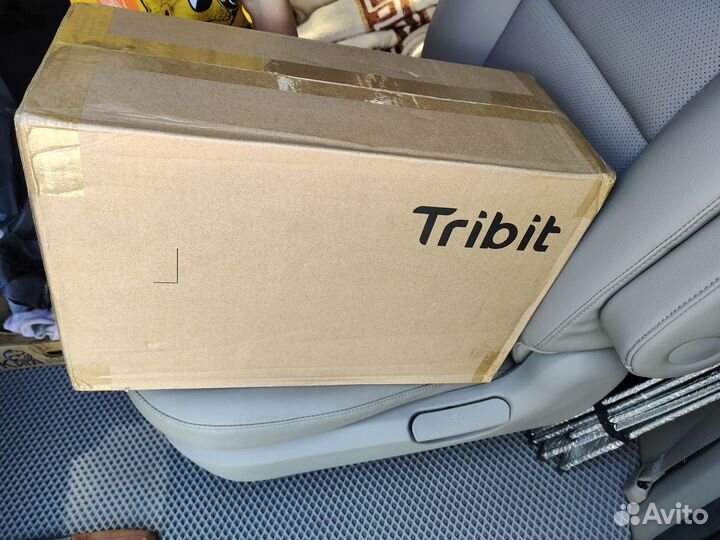 Tribit stormbox blast