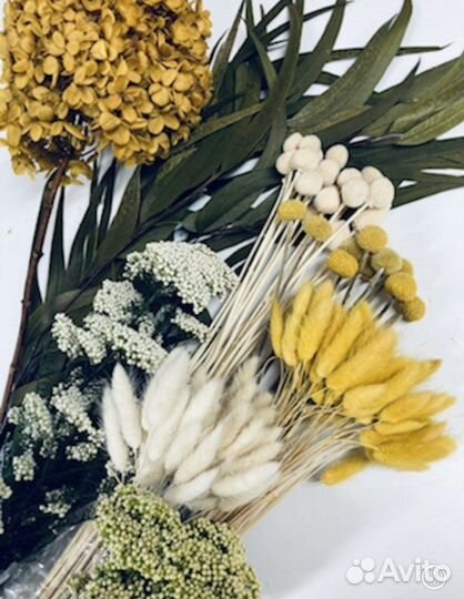 Сухоцветы и стабилизированные растения в наличии