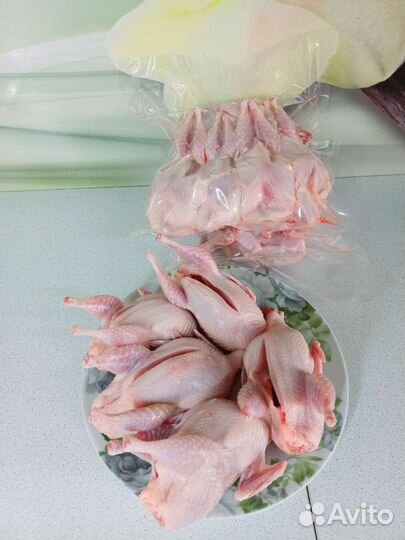 Перепела, тушки потрошёные охлажденные