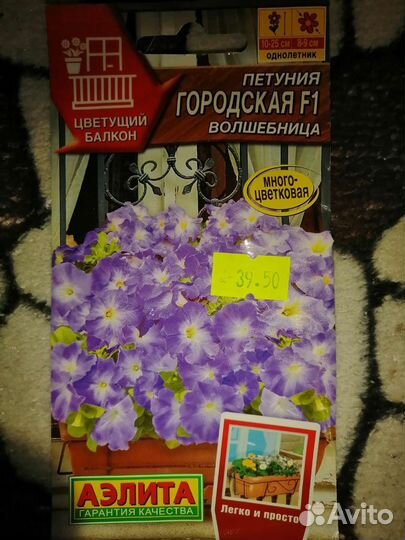 Семена садовых цветов