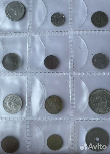 Коллекция монет в альбоме