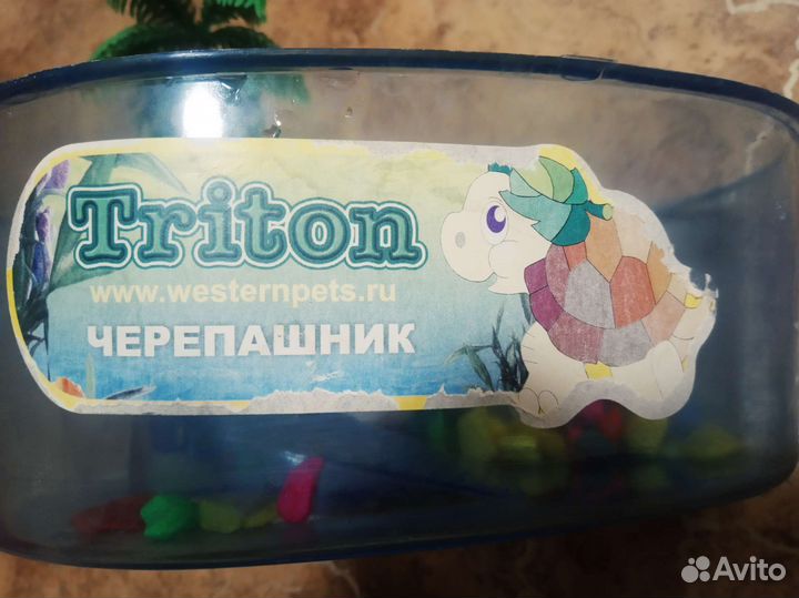 Аквариум черепашник