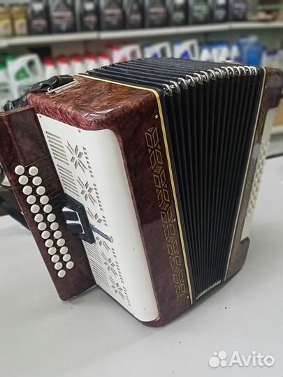 Гармонь Беларусь