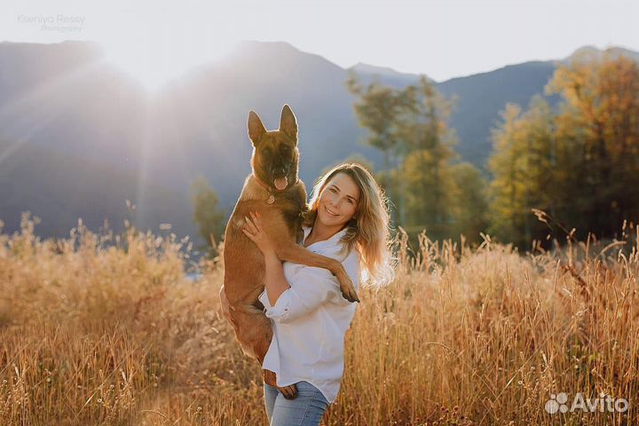 Инструктор по вязке собак