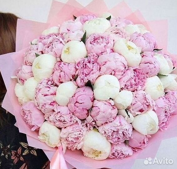 Пионы Букет пионов