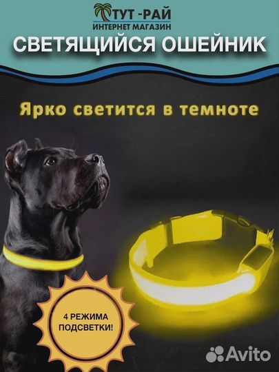 Ошейник светящийся для собак
