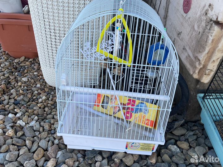 Клетка для грызунов и попугаев