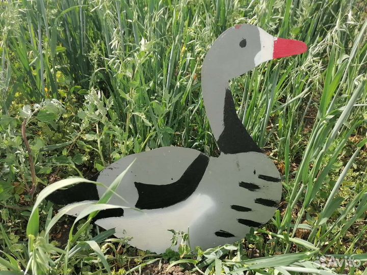 Профиля гусей