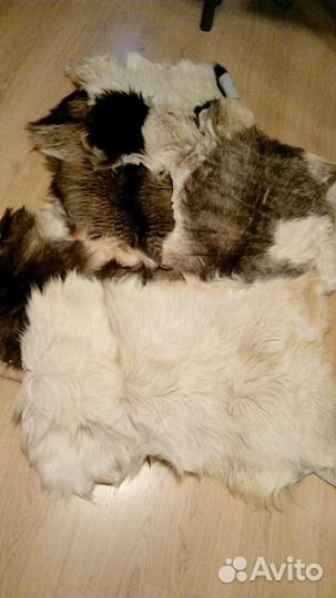 Шкура овечья