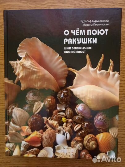 Новая книга 